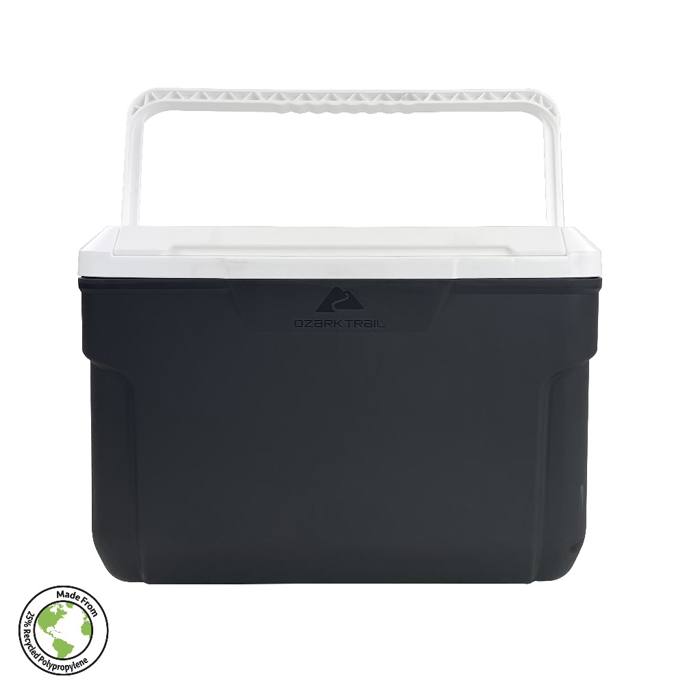 Food Storage In Cooler - 断熱ハードサイドクーラーボックス（ホイール付き）10クォート ポータブルアイスチェスト キャンプ、ピクニック、ビーチ、屋外での食品や飲み物の保管に グレー