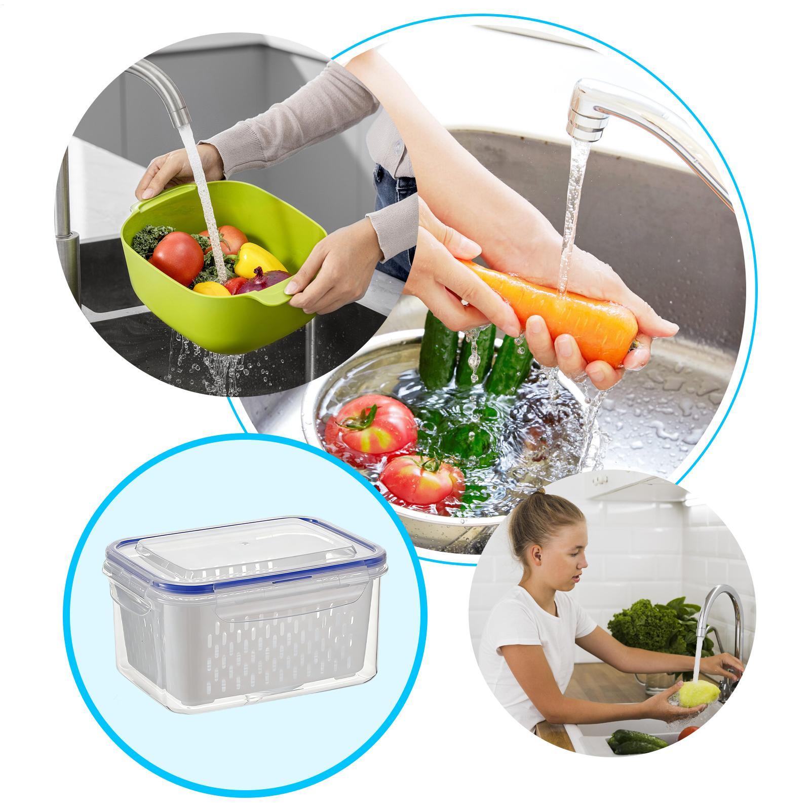4 in 1 食品保存容器 4 in 1 漏れ防止透明オーガ - Food Storage Plastic Container のレビューと価格